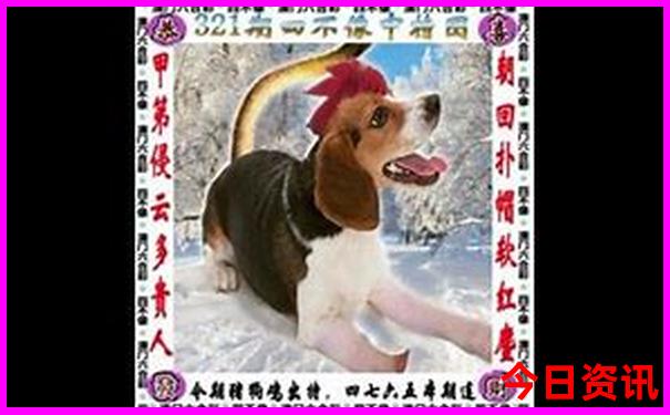黄龙风景区五彩池海拔